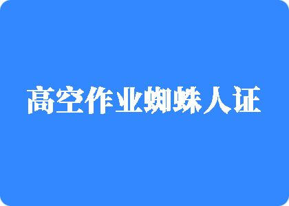 操逼第一视频高空作业蜘蛛人证